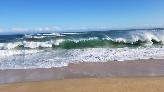 Forest Downs beach