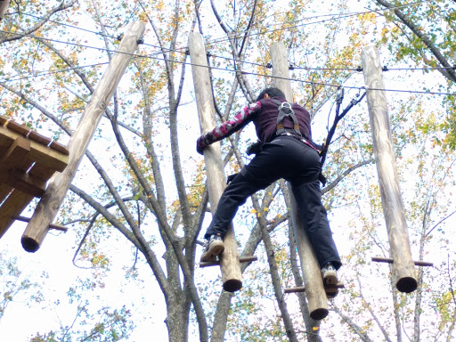 Amusement Park «The Adventure Park at Sandy Spring», reviews and photos, 16701 Norwood Rd, Sandy Spring, MD 20860, USA