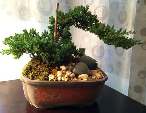 Florist «The Flower Lady», reviews and photos, 1417 Underwood Ave, Milwaukee, WI 53213, USA