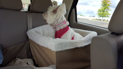 Pet Supply Store «PetSmart», reviews and photos, 4142 Commonwealth Ave, Eau Claire, WI 54701, USA