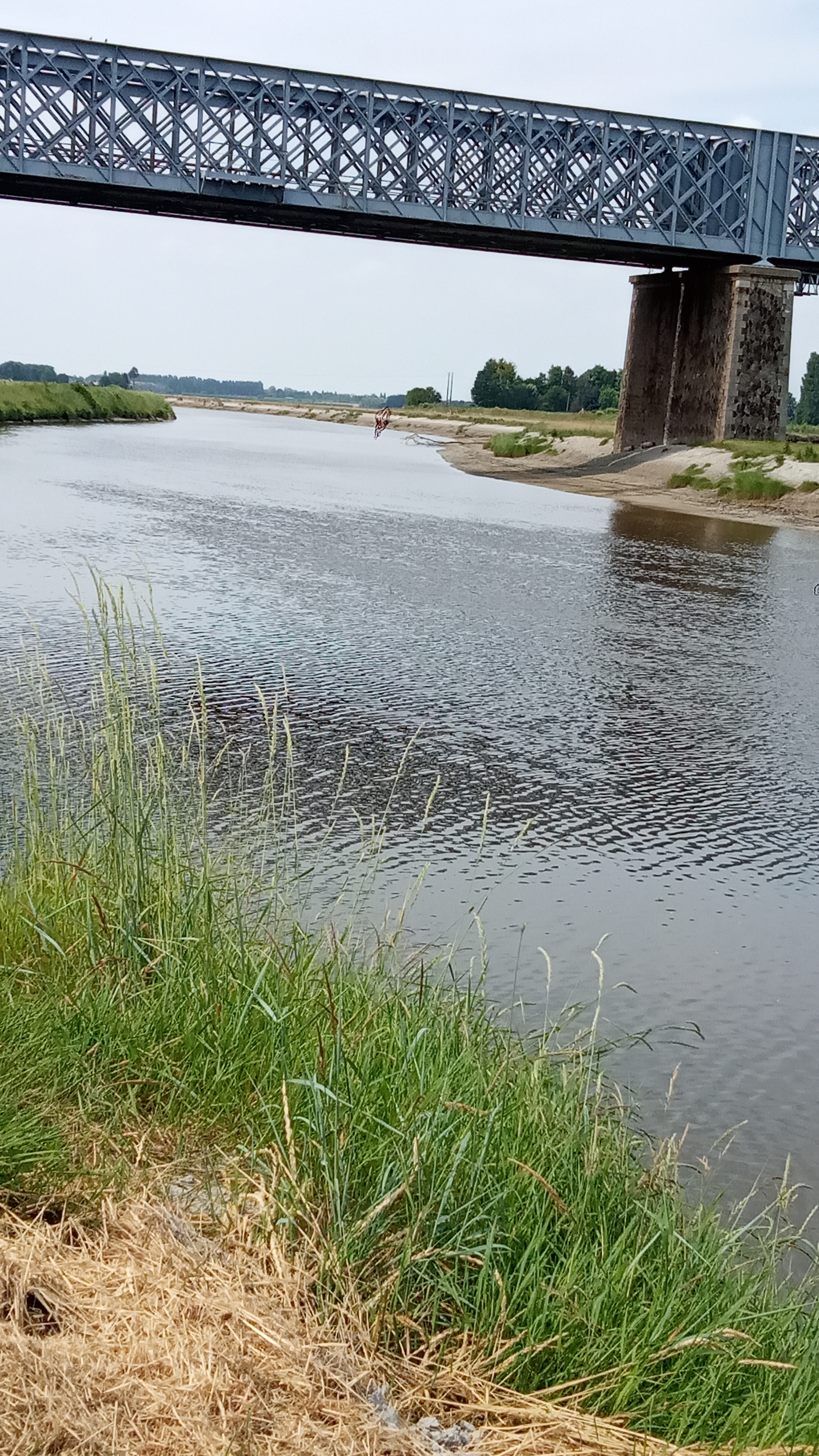 Photo n° 2 de l'avis de Anne.o fait le 22/07/2021 à 20:43
