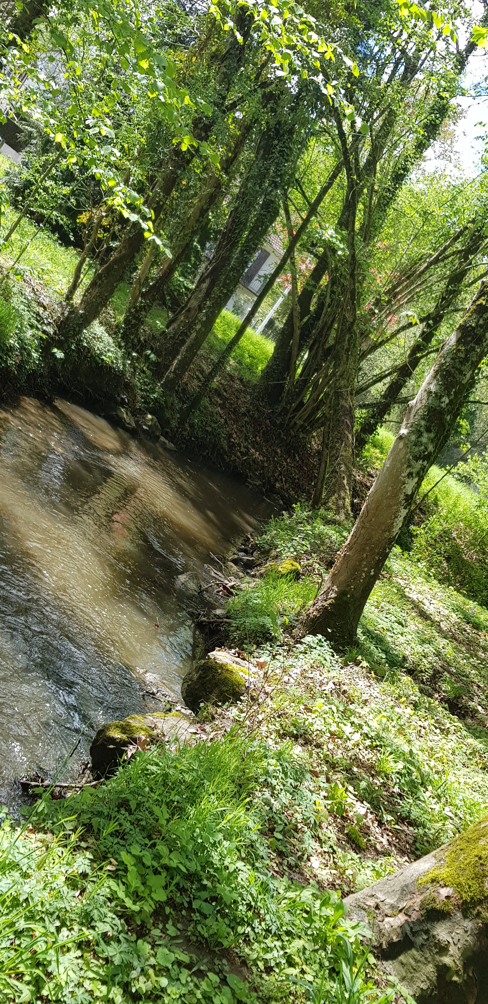 Photo n° 4 de l'avis de Le.e fait le 24/04/2019 à 12:55