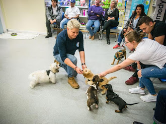 Coastway Vets, Brighton