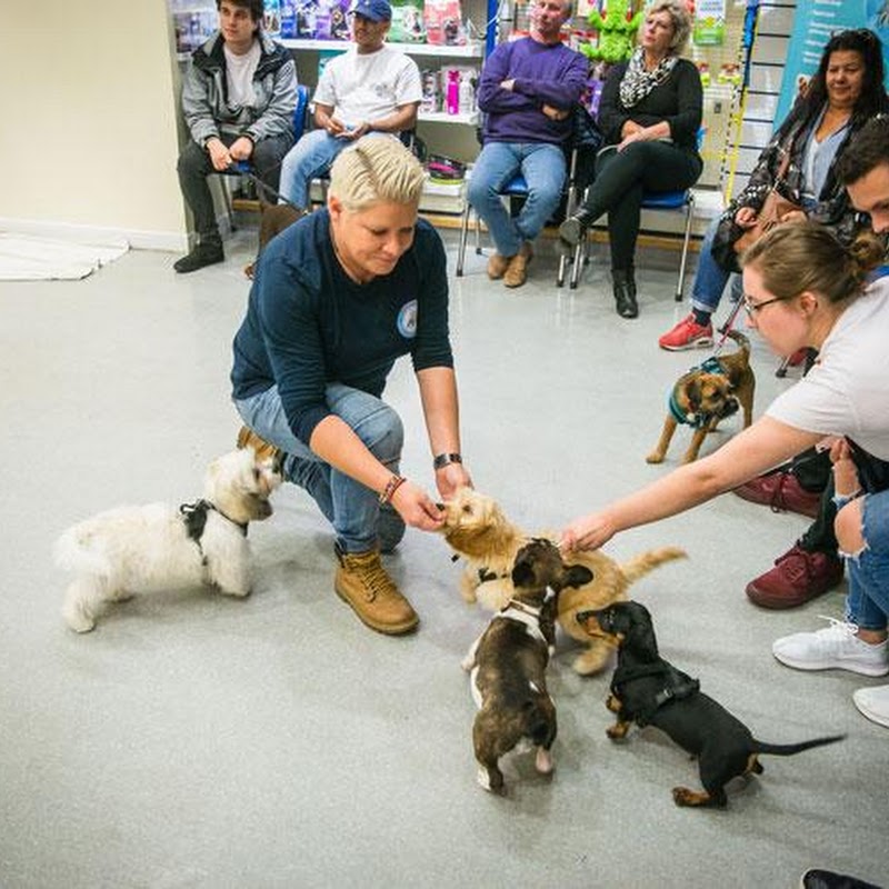 Coastway Vets, Brighton