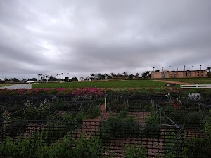 Carlsbad Ranch - photo 76