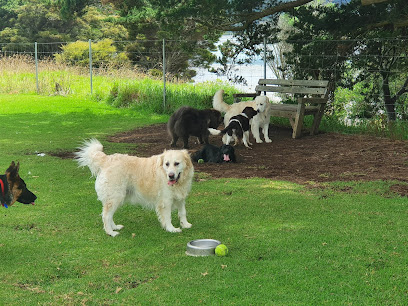 Hobsonville Point (Bomb Point) Dog Park