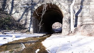 Saw Mill BranchBuzzard RockForest Glen Trails - photo 59