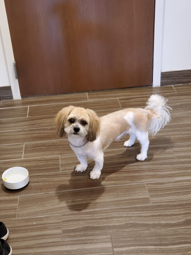 Pet Supply Store «PetSmart», reviews and photos, 5 Main St, East Hartford, CT 06118, USA