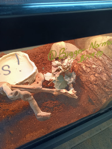 Pet Supply Store «House of Pets Inc», reviews and photos, 29500 Ford Rd, Garden City, MI 48135, USA