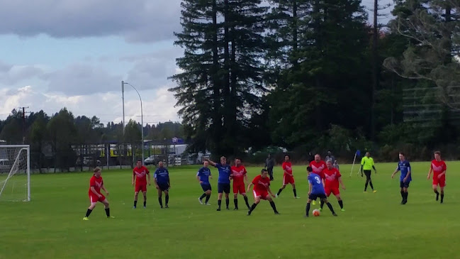 Comments and reviews of Rotorua United AFC