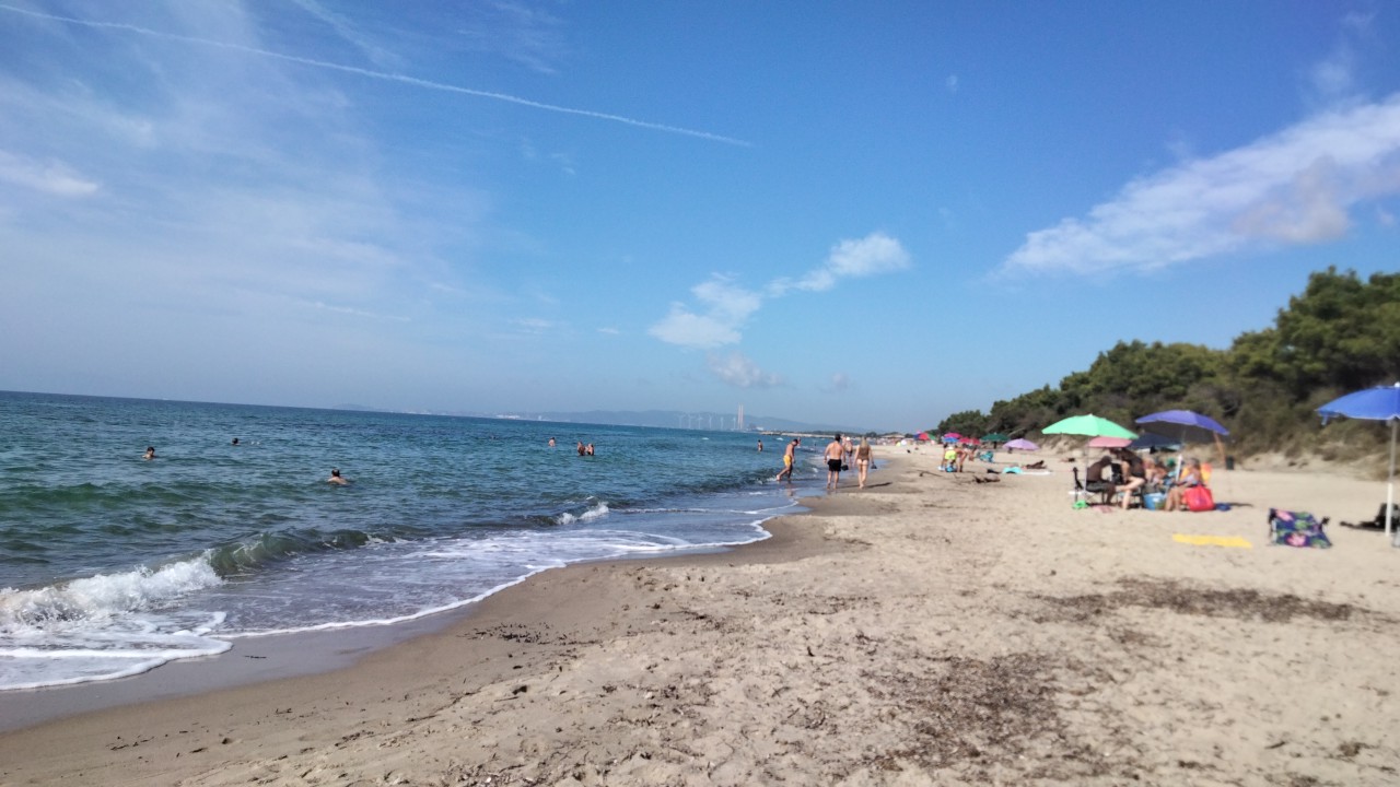Foto de Spiaggia Libera di Torre Mozza área de comodidades