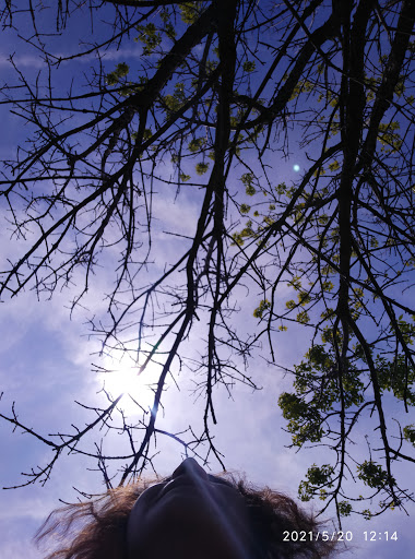 Park «Oceanside Park», reviews and photos, 3800 Mahlon Brower Dr, Oceanside, NY 11572, USA