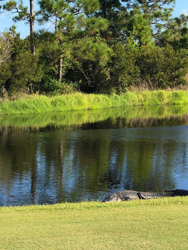 Country Club «Gator Trace Golf & Country Club», reviews and photos, 4302 Gator Trace Dr, Fort Pierce, FL 34982, USA
