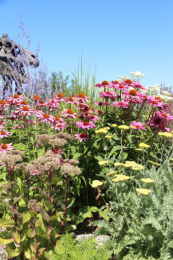 Science Museum «Museum of the Rockies», reviews and photos, 600 W Kagy Blvd, Bozeman, MT 59717, USA