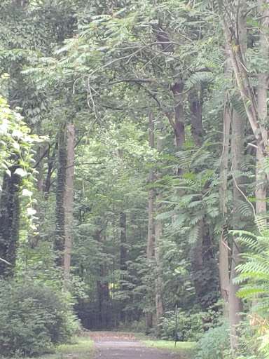 Park «Christopher Morley Park», reviews and photos, 500 Searingtown Rd N, Roslyn, NY 11576, USA