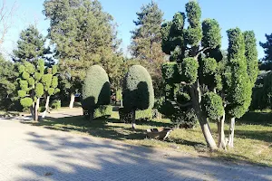 Parcul Central image