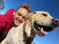 The Purrty Pooch - Photo 2 - Car repair in , Evansville