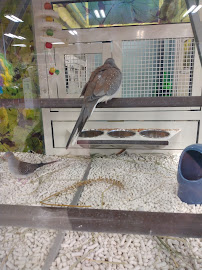 PetSmart - Photo 3 - Car repair in Council Bluffs, IA, Omaha