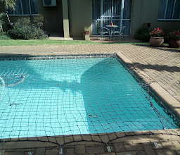 Jacaranda Overnight photo