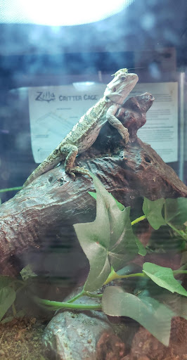 Thunder Valley Pet Pantry, 692 Main St, Hallstead, PA 18822, USA, 