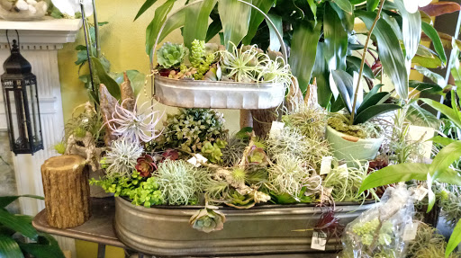 Florist «Flowers & Plants Etc», reviews and photos, 1378 Chain Bridge Rd, McLean, VA 22101, USA