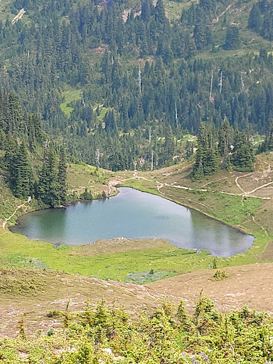 National Park «Olympic National Park», reviews and photos