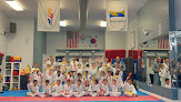 Attack Taekwondo Ukrainian Village