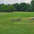 Bluff Creek Golf Course