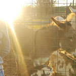 Photo n°24 de l'avis de Daniele.h fait le 07/02/2024 à 12:19 sur le  Agriturismo Cascina Venesia à Mezzanino