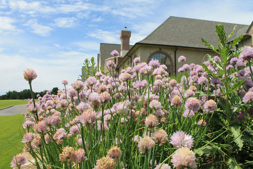 Golf Club «Golden Valley Country Club», reviews and photos, 7001 Golden Valley Rd, Golden Valley, MN 55427, USA