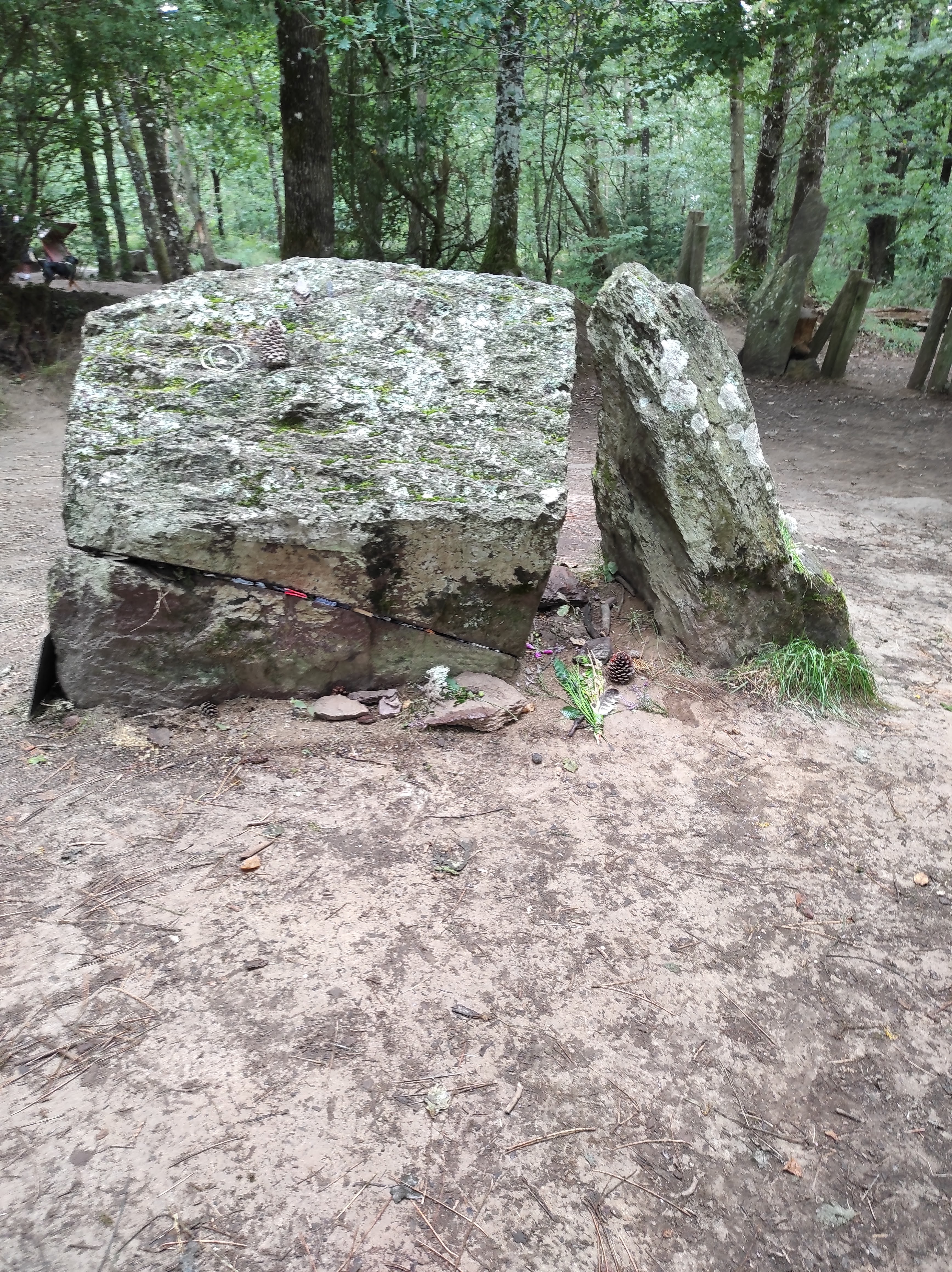 Photo n° 1 de l'avis de Laurie.a fait le 18/08/2021 à 15:09