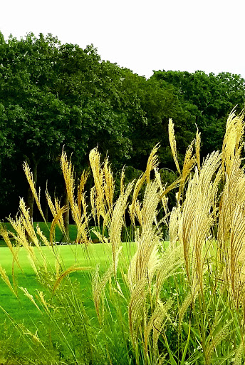 Golf Club «Cherry Creek Golf Links», reviews and photos, 900 Reeves Ave, Riverhead, NY 11901, USA