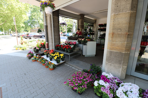 Blumen am Hauptfriedhof