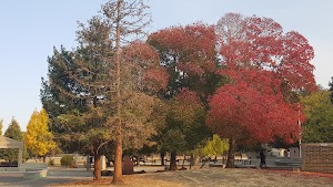 Flood Park - photo 10