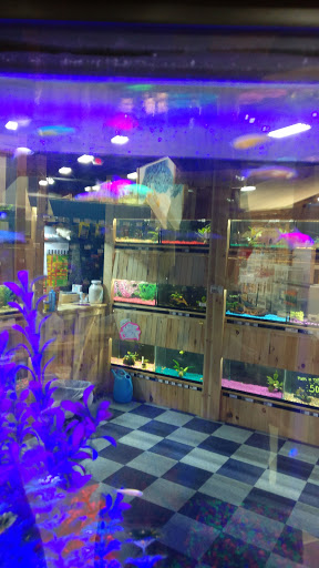 Pet Supply Store «CountryMax - Henrietta», reviews and photos, 4575 W Henrietta Rd, Rochester, NY 14623, USA