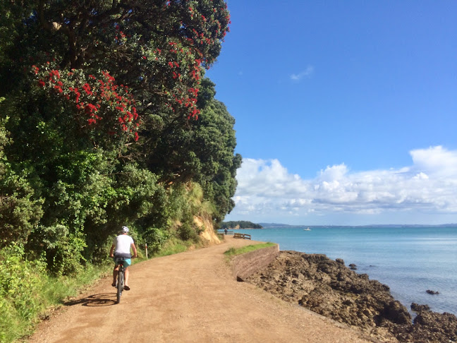 Comments and reviews of Sunrise eBikes Waiheke