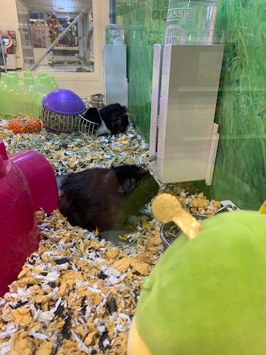 Pet Supply Store «PetSmart», reviews and photos, 2017 N Prospect Ave, Champaign, IL 61822, USA