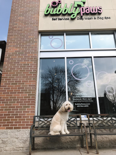 Pet Groomer «Bubbly Paws Dog Wash & Grooming», reviews and photos, 949 Grand Ave, St Paul, MN 55105, USA