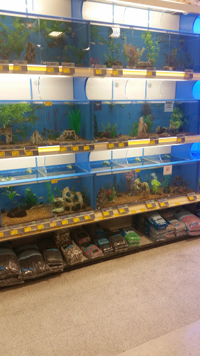 Pet Supply Store «PetSmart», reviews and photos, 1013 W University Ave, Georgetown, TX 78628, USA