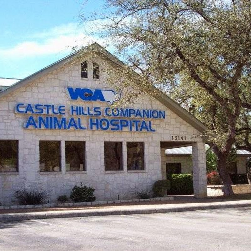 VCA Castle Hills Companion Animal Hospital