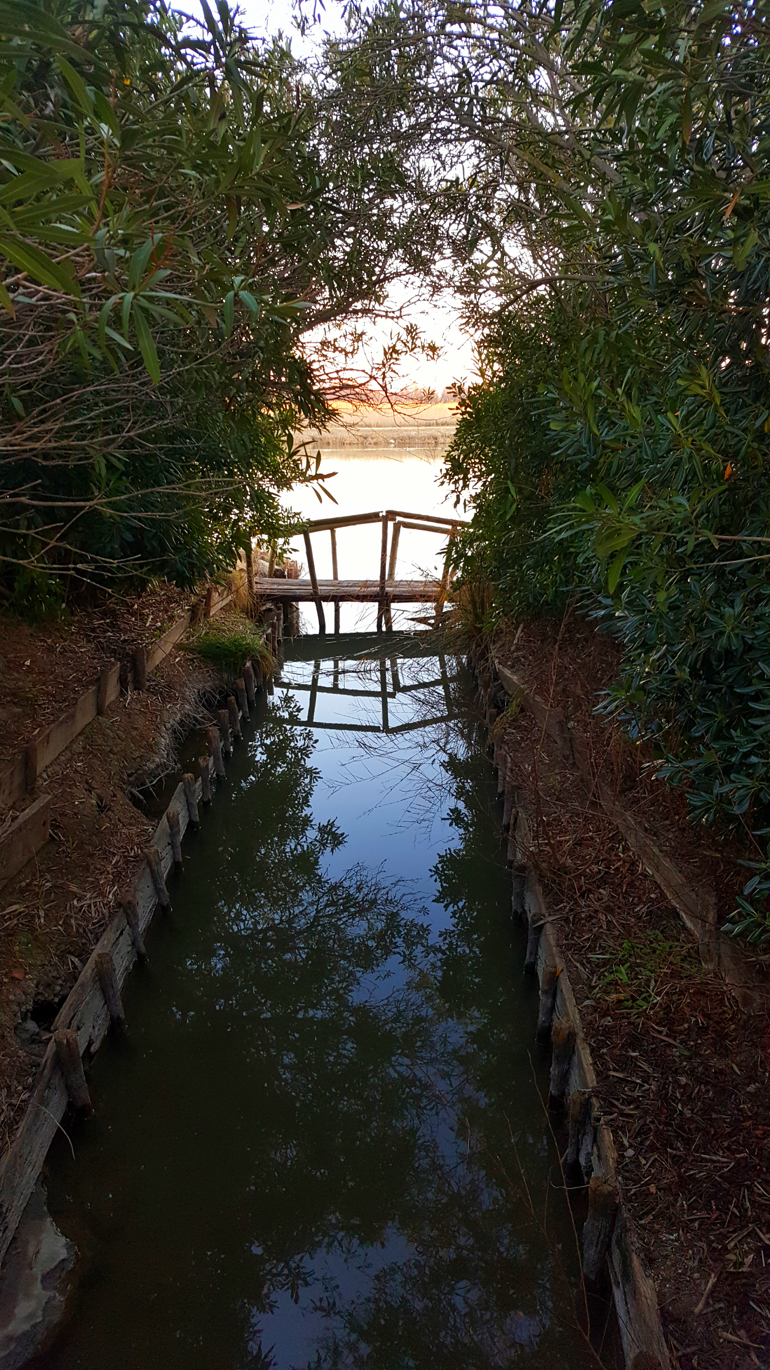 Photo n° 8 de l'avis de Carole.l fait le 22/02/2019 à 21:54