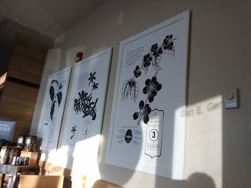 Coffee Shop «Starbucks», reviews and photos, 1741 E Geneva St a, Delavan, WI 53115, USA