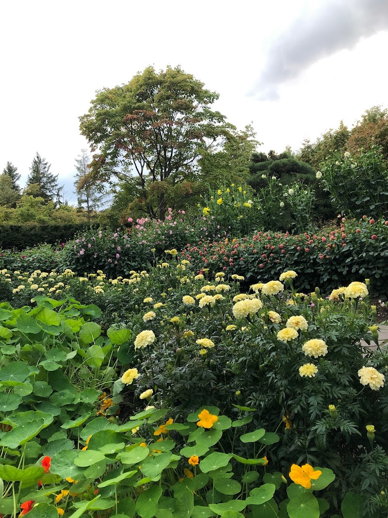 百合が原公園 世界の庭園 北海道札幌市百合が原公園 庭園 グルコミ