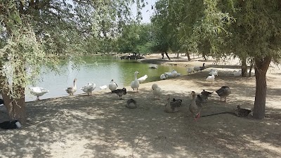 Photos of Camping al qodra