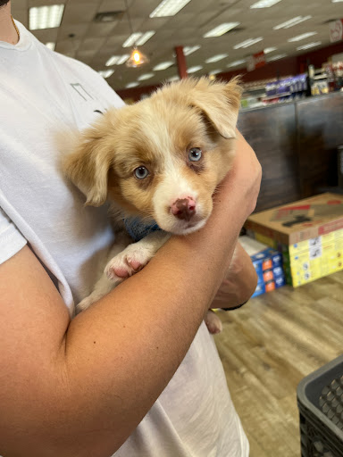 Pet Supply Store «Petland Dallas», reviews and photos, 11909 Preston Rd, Dallas, TX 75230, USA