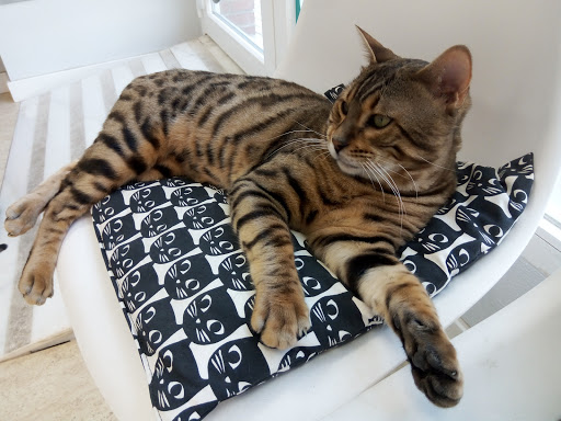 Centro Veterinario Gades en Chiclana de la Frontera