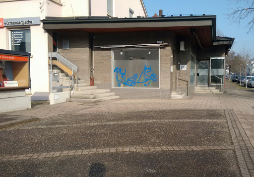Fachtierärztin für Kleintiere Dr. Tanja Fink unter Korntal-Münchingen, Baden Württemberg
