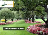 JP Cleaners - Car repair in , Manhattan - Rated 4.9/5