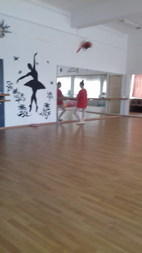 Valentino School Ballet - <nil>