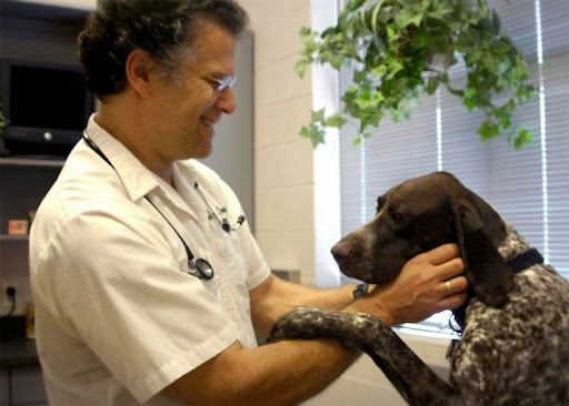 Animal Dental Center image